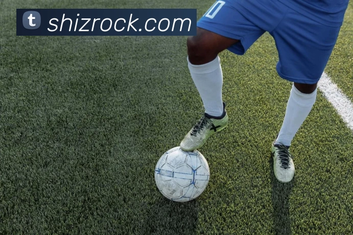 泛亚体育官网平台生态图